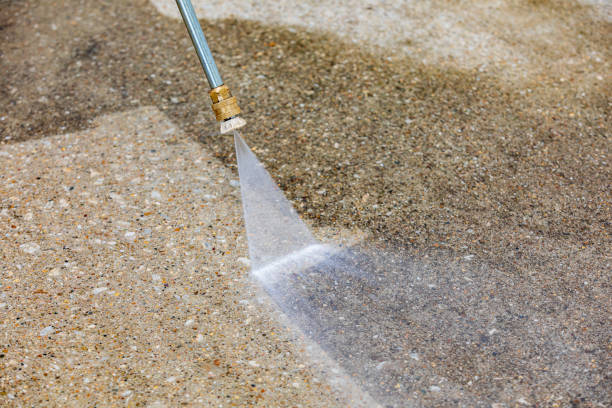 Animal Enclosure Cleaning in West End Cobb Town, AL